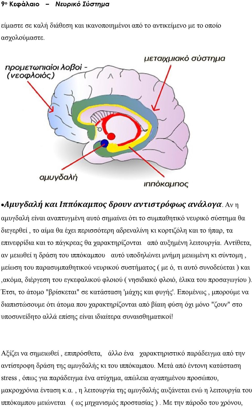 χαρακτηρίζονται από αυξημένη λειτουργία.