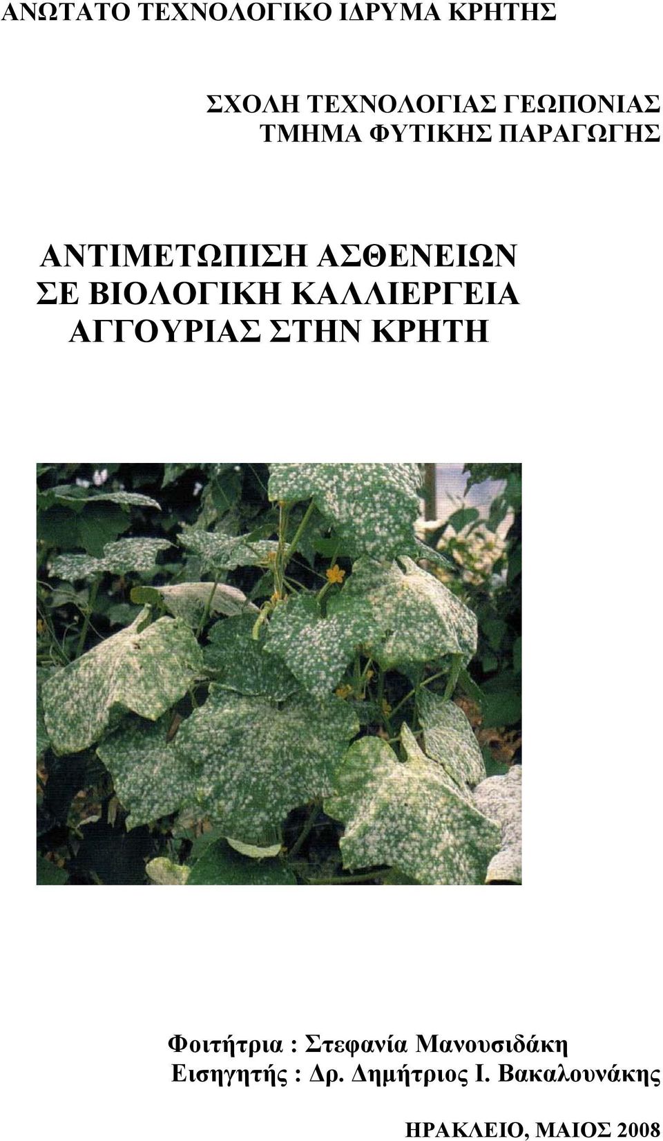 ΚΑΛΛΙΕΡΓΕΙΑ ΑΓΓΟΥΡΙΑΣ ΣΤΗΝ ΚΡΗΤΗ Φοιτήτρια : Στεφανία