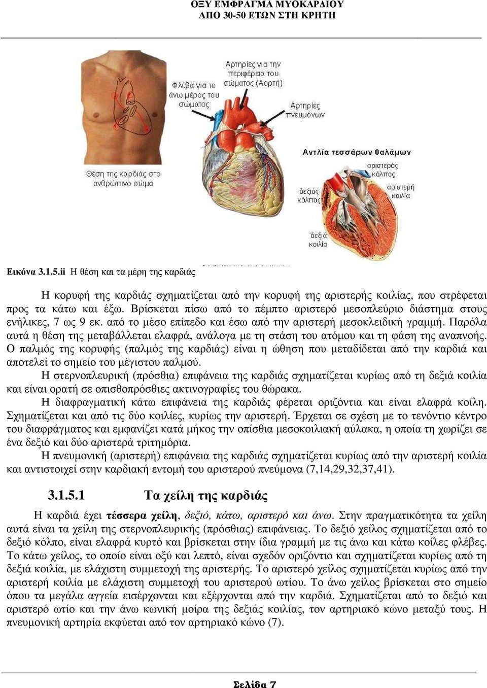 Παρόλα αυτά η θέση της µεταβάλλεται ελαφρά, ανάλογα µε τη στάση του ατόµου και τη φάση της αναπνοής.