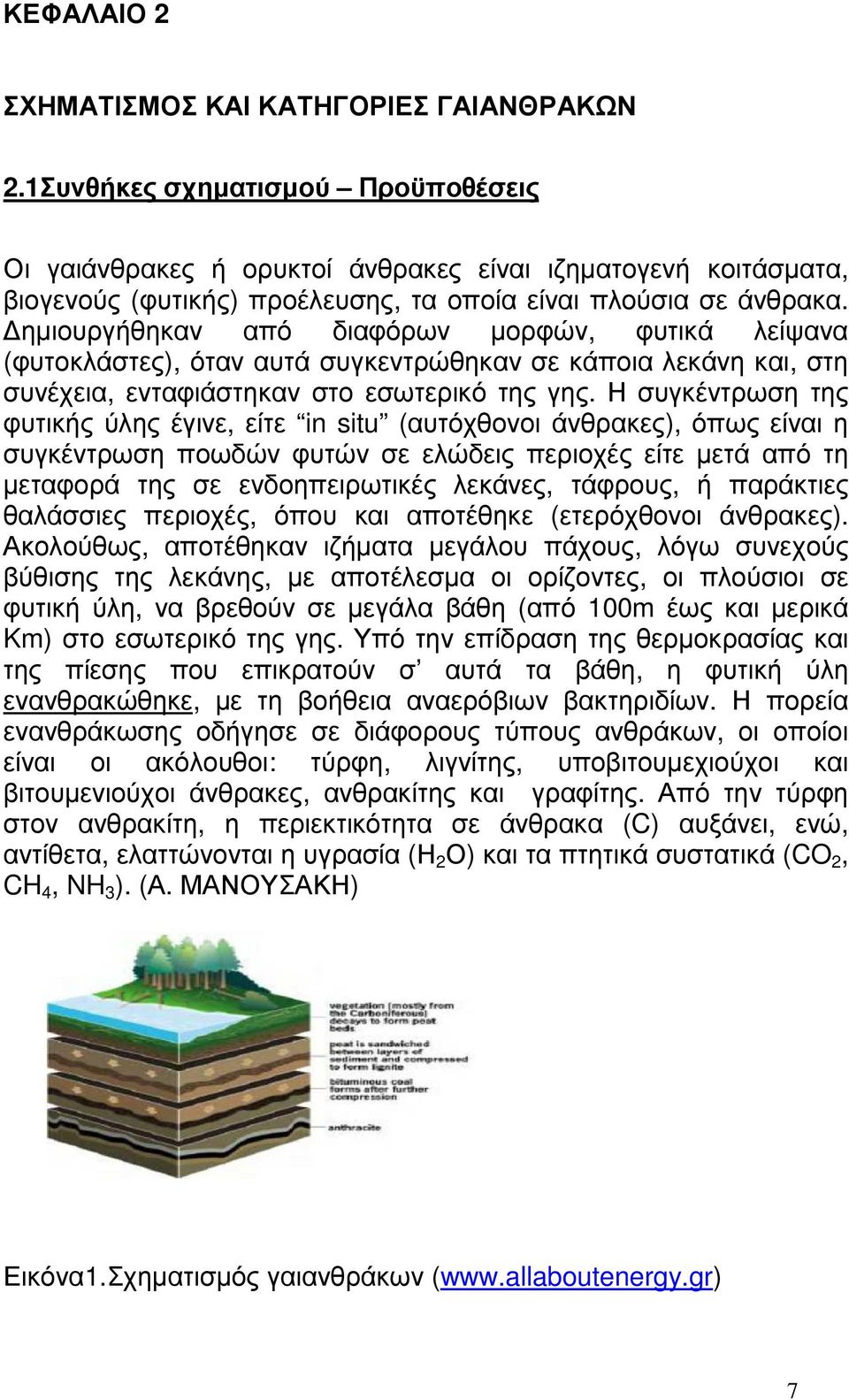 ηµιουργήθηκαν από διαφόρων µορφών, φυτικά λείψανα (φυτοκλάστες), όταν αυτά συγκεντρώθηκαν σε κάποια λεκάνη και, στη συνέχεια, ενταφιάστηκαν στο εσωτερικό της γης.