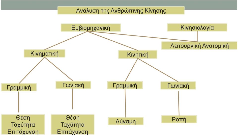 Ανατομική Γραμμική Γωνιακή Γραμμική Γωνιακή Θέση