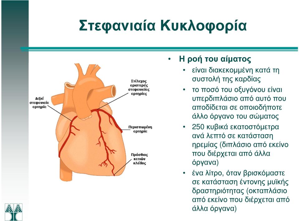 εκατοστόµετρα ανά λεπτό σε κατάσταση ηρεµίας (διπλάσιο από εκείνο που διέρχεται από άλλα όργανα) ένα