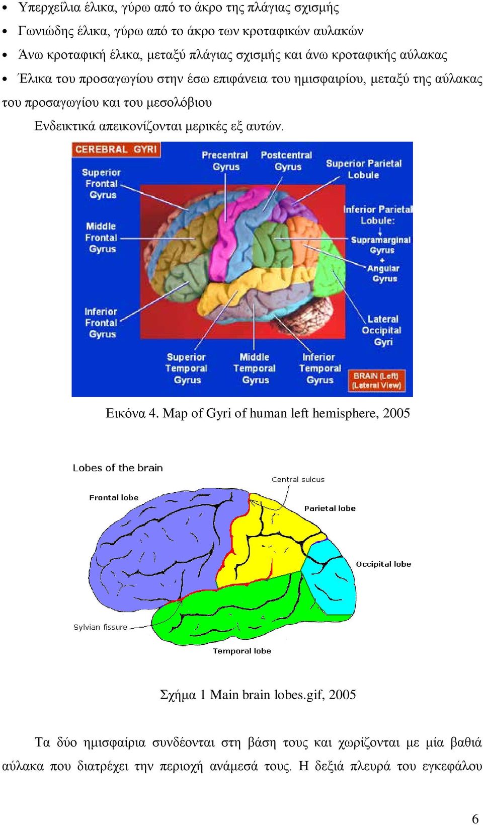 μεσολόβιου Ενδεικτικά απεικονίζονται μερικές εξ αυτών. Εικόνα 4. Map of Gyri of human left hemisphere, 2005 Σχήμα 1 Main brain lobes.