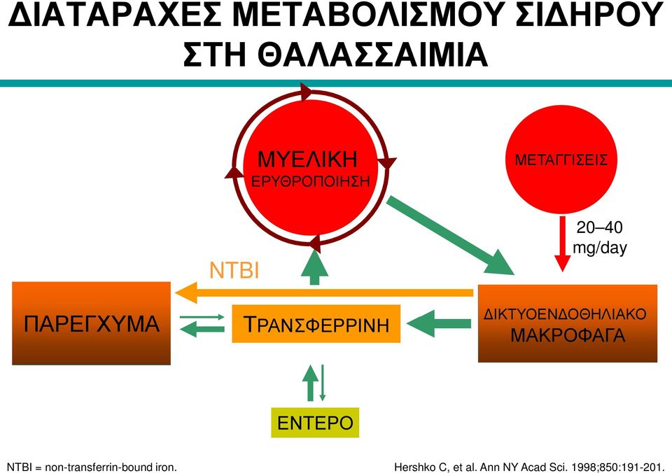 mg/day Reticuloendothelial ΜΑΚΡΟΦΑΓΑ macrophages ΔΙΚΤΥΟΕΝΔΟΘΗΛΙΑΚΟ ΕΝΤΕΡΟ