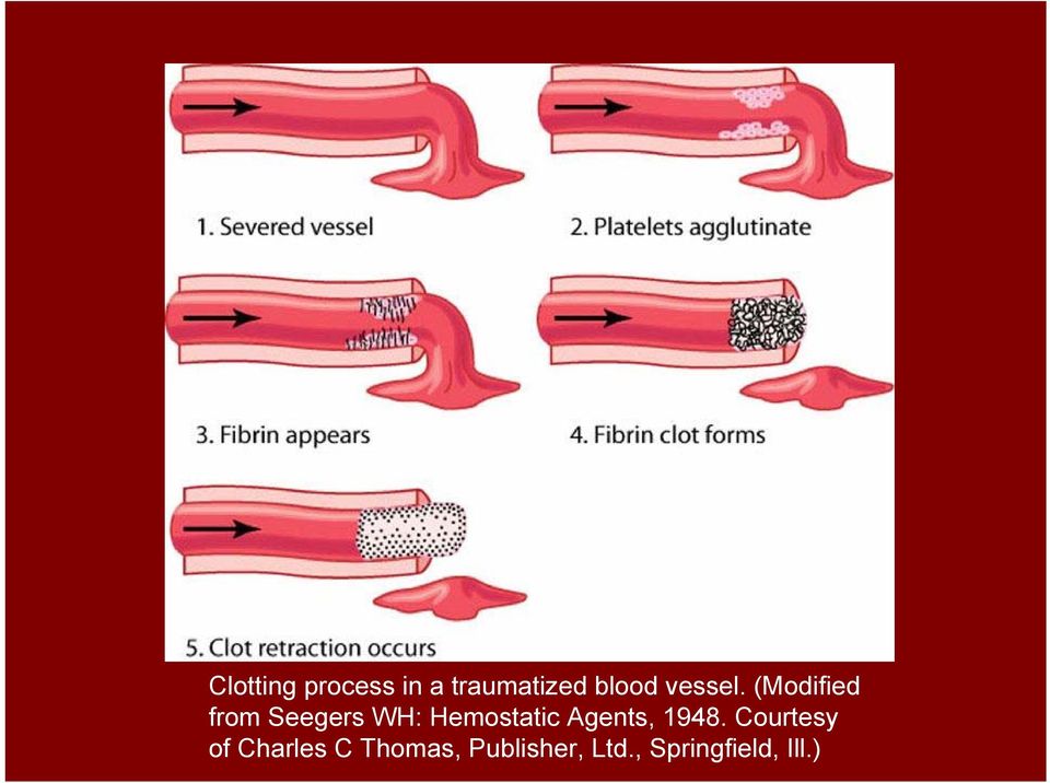 (Modified from Seegers WH: Hemostatic