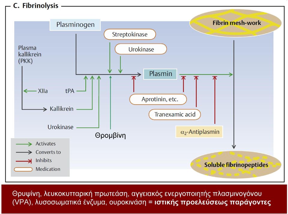 πλασμινογόνου (VPA), λυσοσωματικά