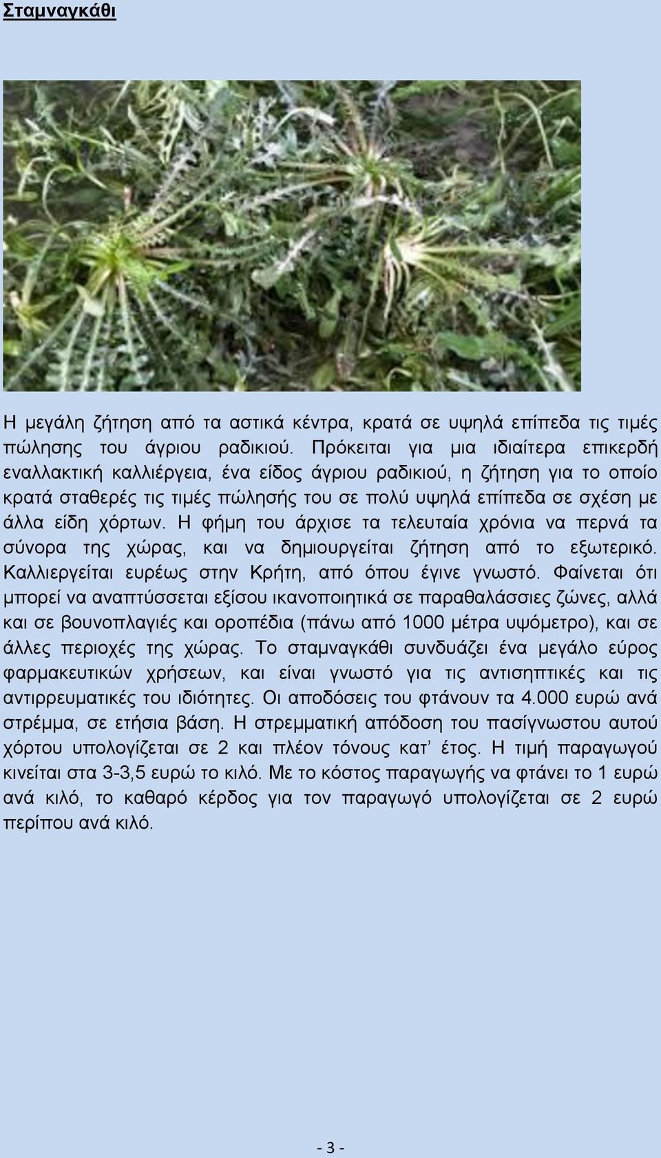 Η φήμη του άρχισε τα τελευταία χρόνια να περνά τα σύνορα της χώρας, και να δημιουργείται ζήτηση από το εξωτερικό. Καλλιεργείται ευρέως στην Κρήτη, από όπου έγινε γνωστό.