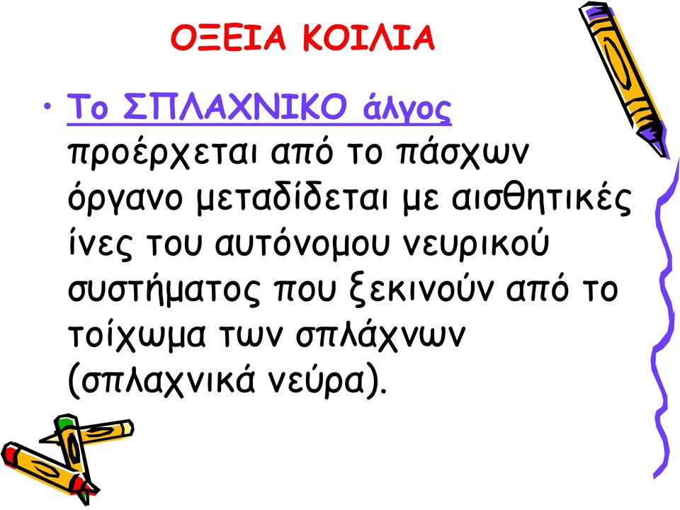 ίνες του αυτόνομου νευρικού συστήματος που