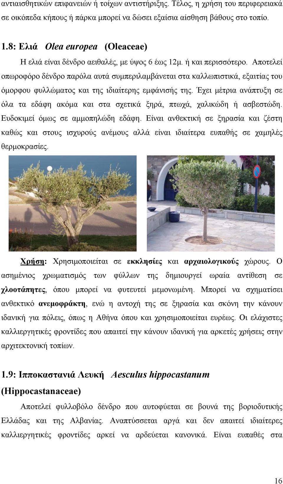 Αποτελεί οπωροφόρο δένδρο παρόλα αυτά συμπεριλαμβάνεται στα καλλωπιστικά, εξαιτίας του όμορφου φυλλώματος και της ιδιαίτερης εμφάνισής της.