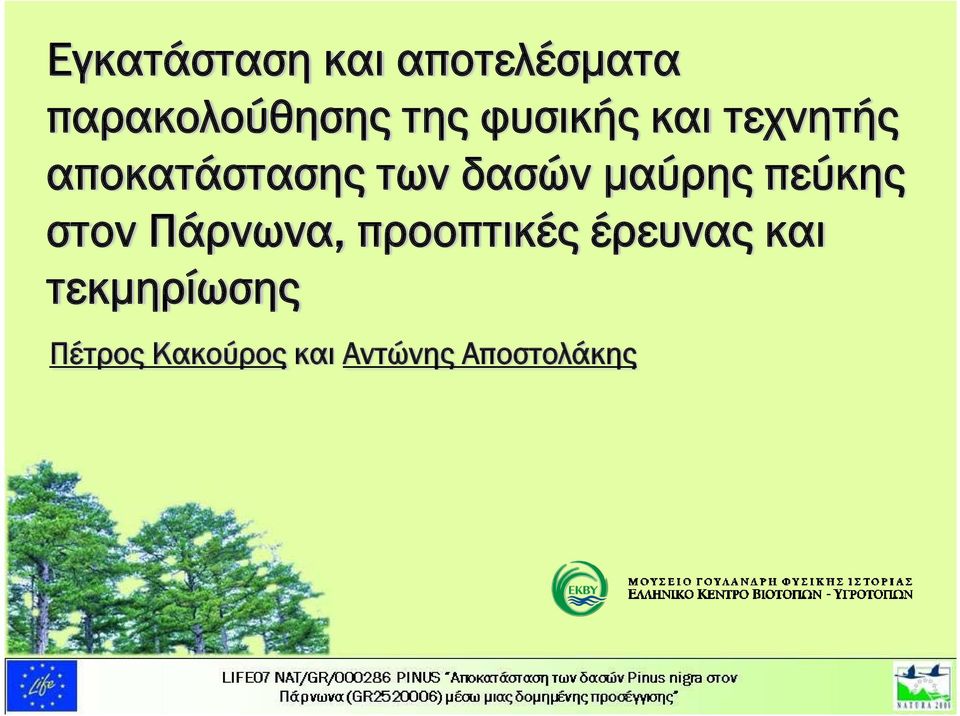 μαύρης πεύκης στον Πάρνωνα, προοπτικές έρευνας