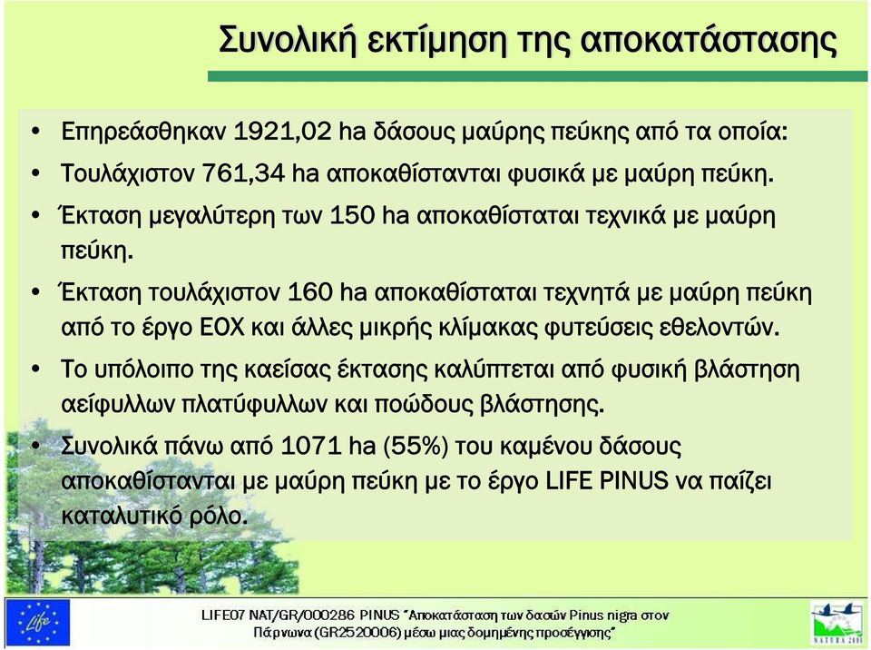 Έκταση τουλάχιστον 160 ha αποκαθίσταται τεχνητά με μαύρη πεύκη από το έργο ΕΟΧ και άλλες μικρής κλίμακας φυτεύσεις εθελοντών.
