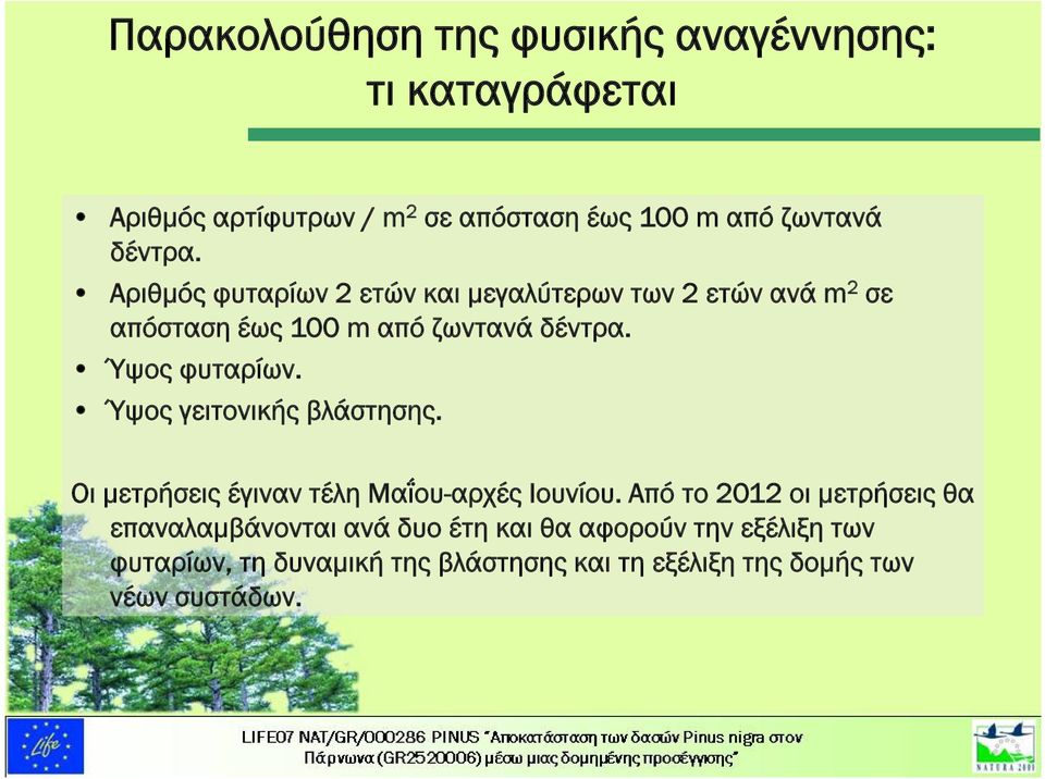 Ύψος φυταρίων. Ύψος γειτονικής βλάστησης. Οι μετρήσεις έγιναν τέλη Μαΐου-αρχές Ιουνίου.