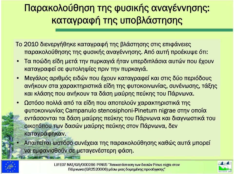 Μεγάλος αριθμός ειδών που έχουν καταγραφεί και στις δύο περιόδους ανήκουν στα χαρακτηριστικά είδη της φυτοκοινωνίας, συνένωσης, τάξης και κλάσης που ανήκουν τα δάση μαύρης πεύκης του Πάρνωνα.