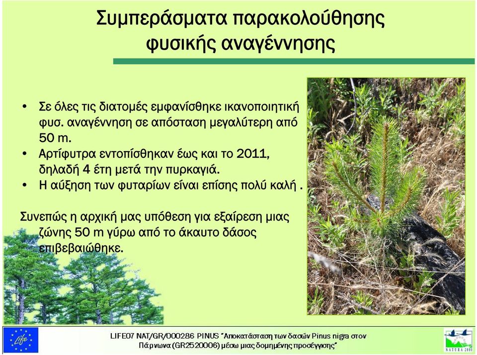 Αρτίφυτρα εντοπίσθηκαν έως και το 2011, δηλαδή 4 έτη μετά την πυρκαγιά.