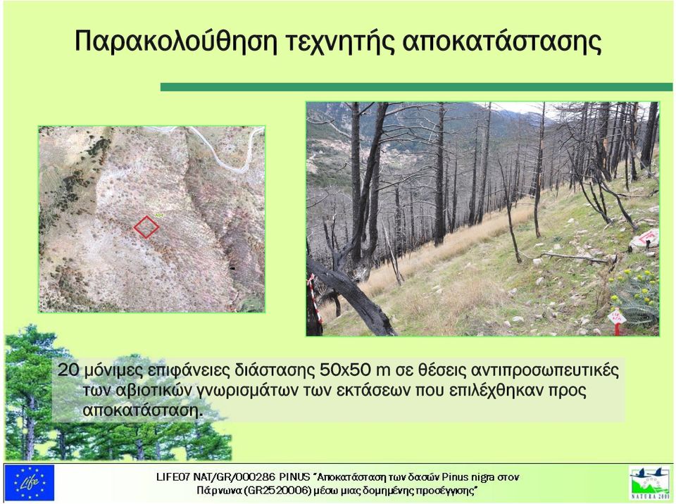 θέσεις αντιπροσωπευτικές των αβιοτικών