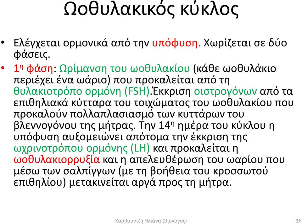 Έκκριση οιστρογόνων από τα επιθηλιακά κύτταρα του τοιχώματος του ωοθυλακίου που προκαλούν πολλαπλασιασμό των κυττάρων του βλεννογόνου της μήτρας.