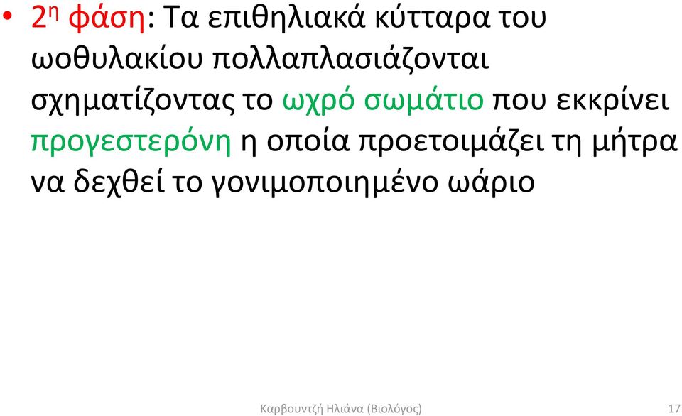 εκκρίνει προγεστερόνη η οποία προετοιμάζει τη μήτρα