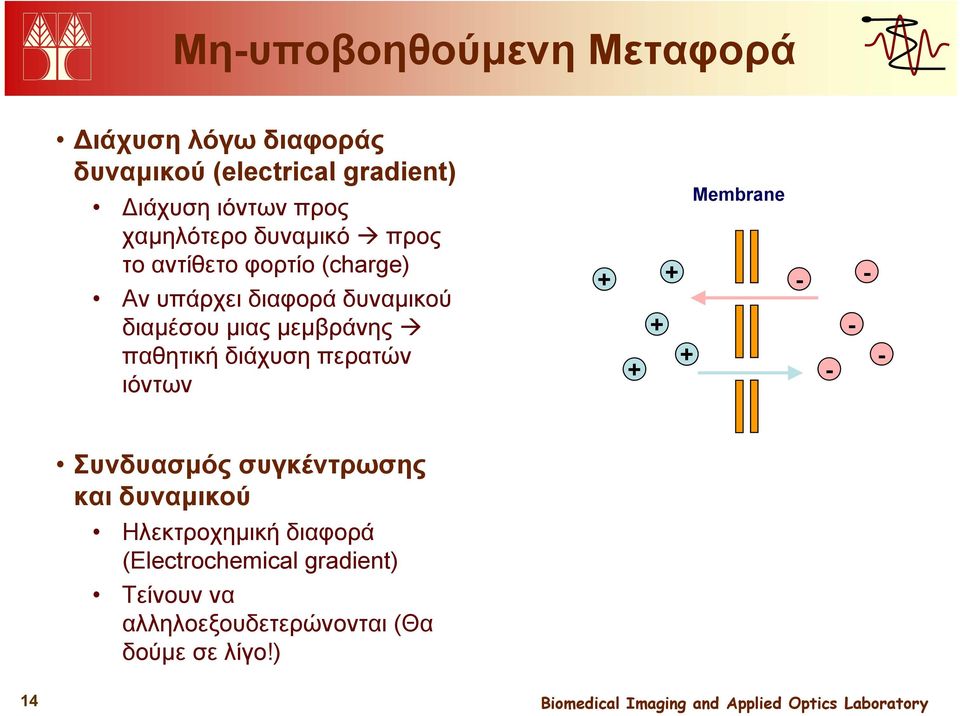 μεμβράνης + παθητική διάχυση περατών + + ιόντων Membrane - - - - - Συνδυασμός συγκέντρωσης και