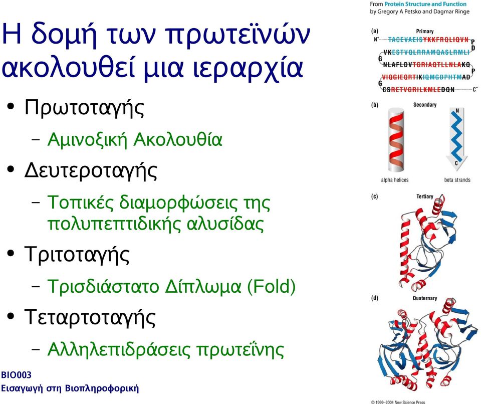 πολυπεπτιδικής αλυσίδας Τριτοταγής Αμινοξική