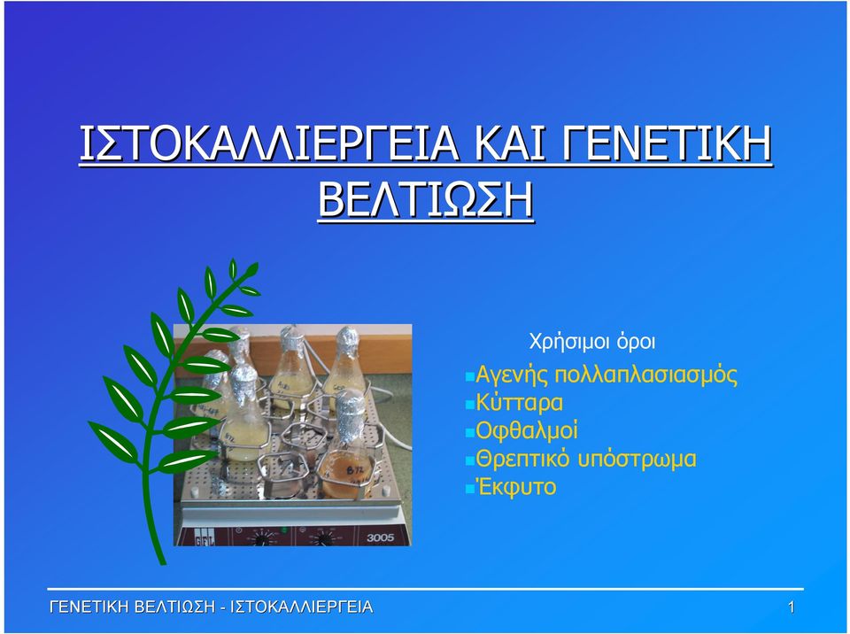 Κύτταρα Οφθαλμοί Θρεπτικό υπόστρωμα
