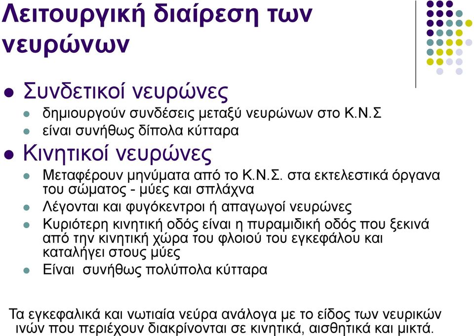 Λέγονται και φυγόκεντροι ή απαγωγοί νευρώνες Κυριότερη κινητική οδός είναι η πυραμιδική οδός που ξεκινά από την κινητική χώρα του φλοιού του