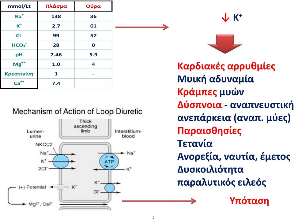 4 Καρδιακές αρρυθμίες Μυική αδυναμία Κράμπες μυών Δύσπνοια - αναπνευστική