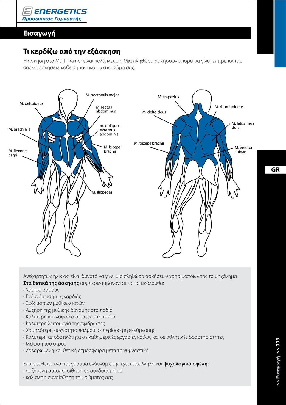 trizeps brachii M. erector spinae M. iliopsoas Ανεξαρτήτως ηλικίας, είναι δυνατό να γίνει μια πληθώρα ασκήσεων χρησιμοποιώντας το μηχάνημα.