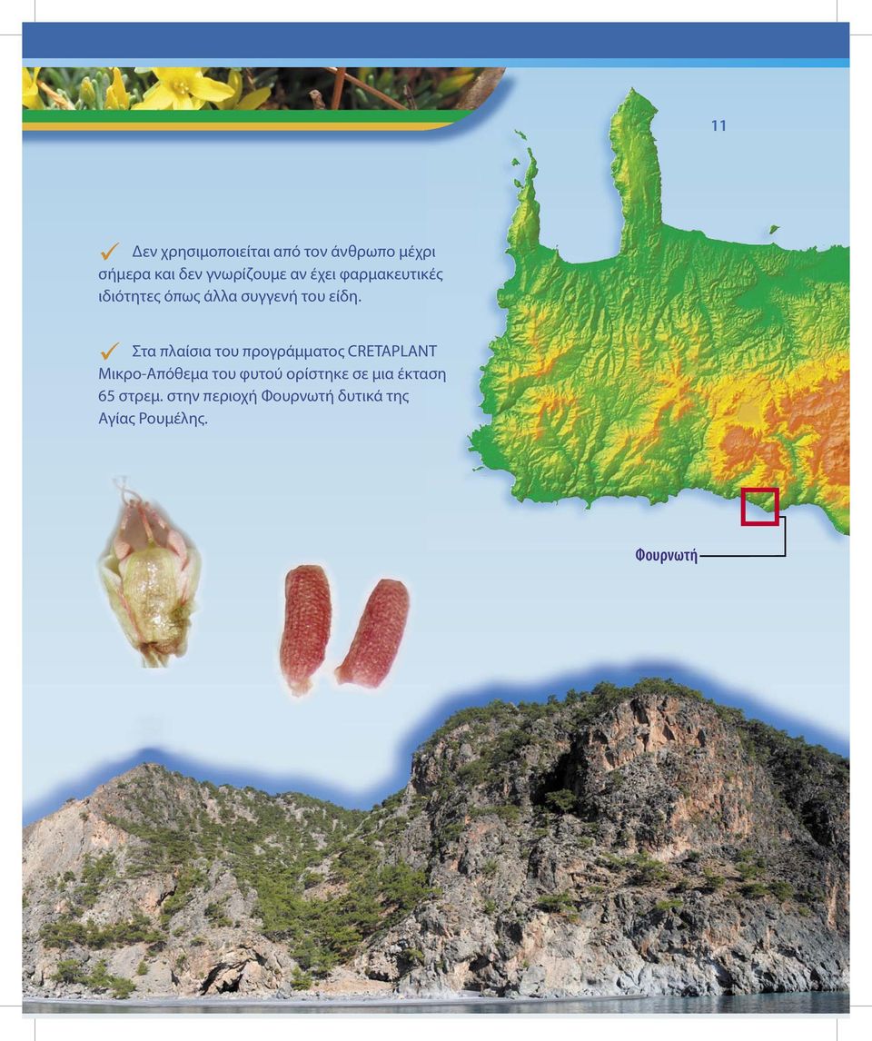 Στα πλαίσια του προγράμματος CRETAPLANT Μικρο-Απόθεμα του φυτού