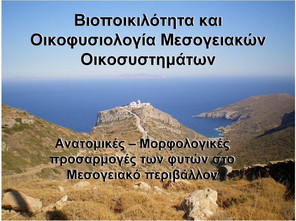 Οικοσυστημάτων Ανατομικές