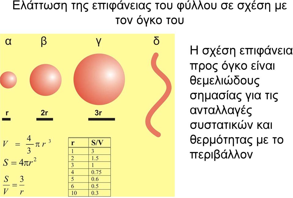 είναι θεμελιώδους σημασίας για τις