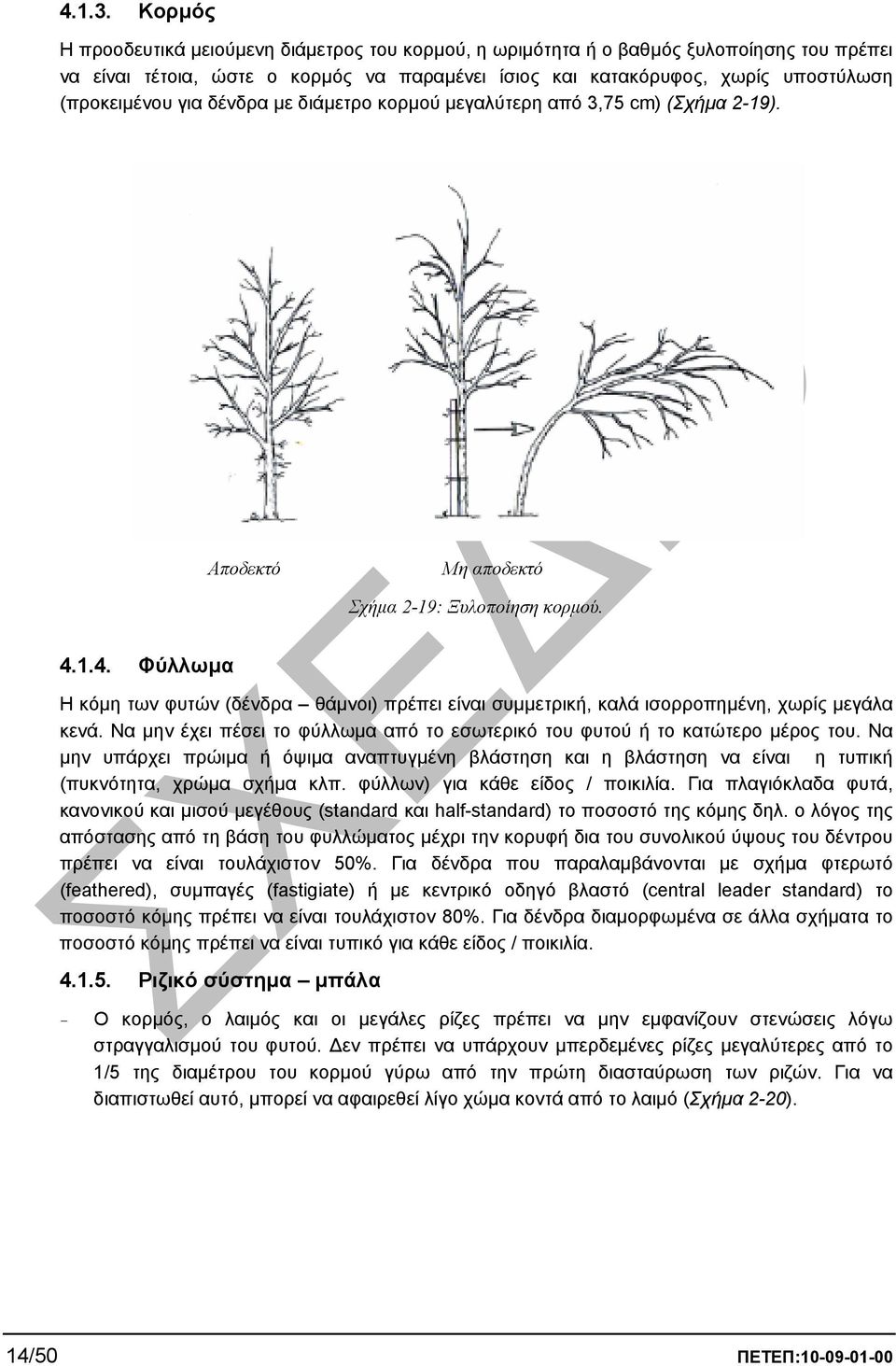 δένδρα µε διάµετρο κορµού µεγαλύτερη από 3,75 c) (Σχήµα 2-19). Αποδεκτό Μη αποδεκτό Σχήµα 2-19: Ξυλοποίηση κορµού. 4.