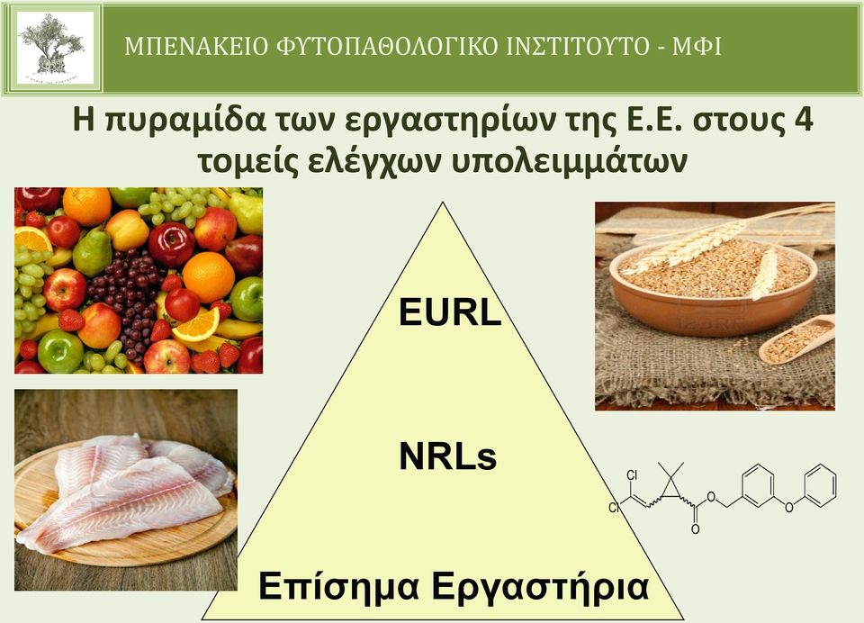 Ε. στους 4 τομείς