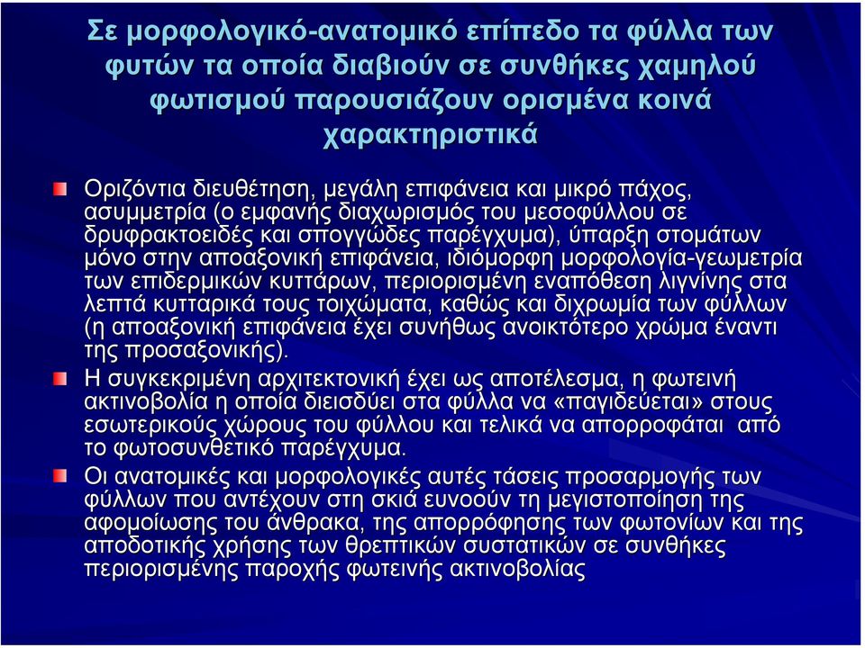 κυττάρων, περιορισµένη εναπόθεση λιγνίνης στα λεπτά κυτταρικά τους τοιχώµατα, καθώς και διχρωµία των φύλλων (η αποαξονική επιφάνεια έχει συνήθως ανοικτότερο χρώµα έναντι της προσαξονικής).