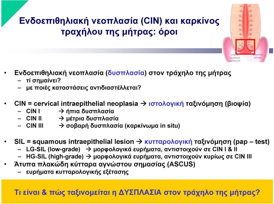 CIN = cervical intraepithelial neoplasia ιστολογική ταξινόμηση (βιοψία) CIN I ήπια δυσπλασία CIN II μέτρια δυσπλασία CIN III σοβαρή δυσπλασία (καρκίνωμα in situ) SIL = squamous