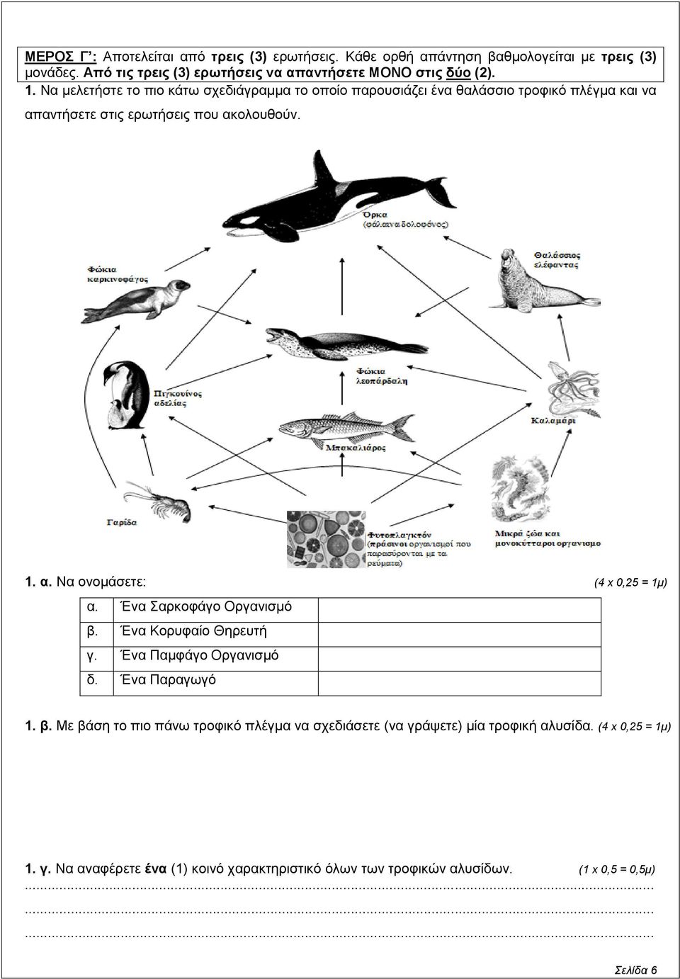 Να μελετήστε το πιο κάτω σχεδιάγραμμα το οποίο παρουσιάζει ένα θαλάσσιο τροφικό πλέγμα και να απαντήσετε στις ερωτήσεις που ακολουθούν. 1. α. Να ονομάσετε: α.