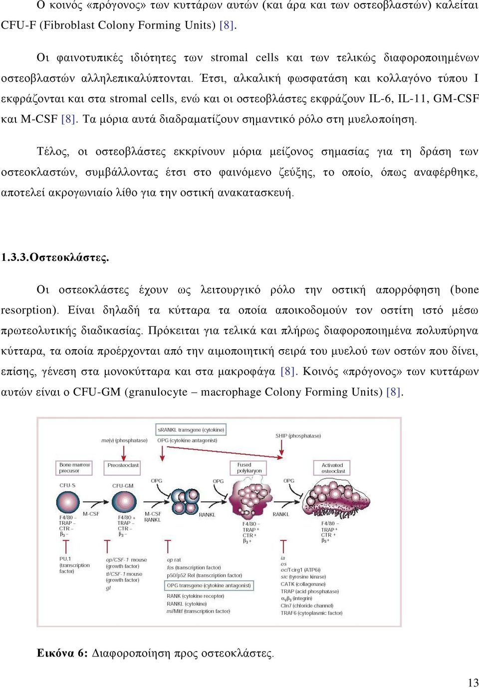 Έτσι, αλκαλική φωσφατάση και κολλαγόνο τύπου Ι εκφράζονται και στα stromal cells, ενώ και οι οστεοβλάστες εκφράζουν IL-6, IL-11, GM-CSF και M-CSF [8].