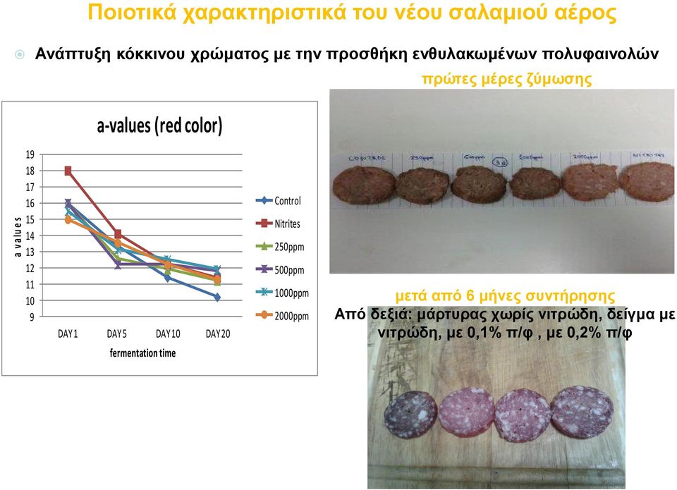 13 12 11 10 9 DAY 1 DAY 5 DAY 10 DAY 20 fermentation time Control Nitrites 250ppm 500ppm 1000ppm