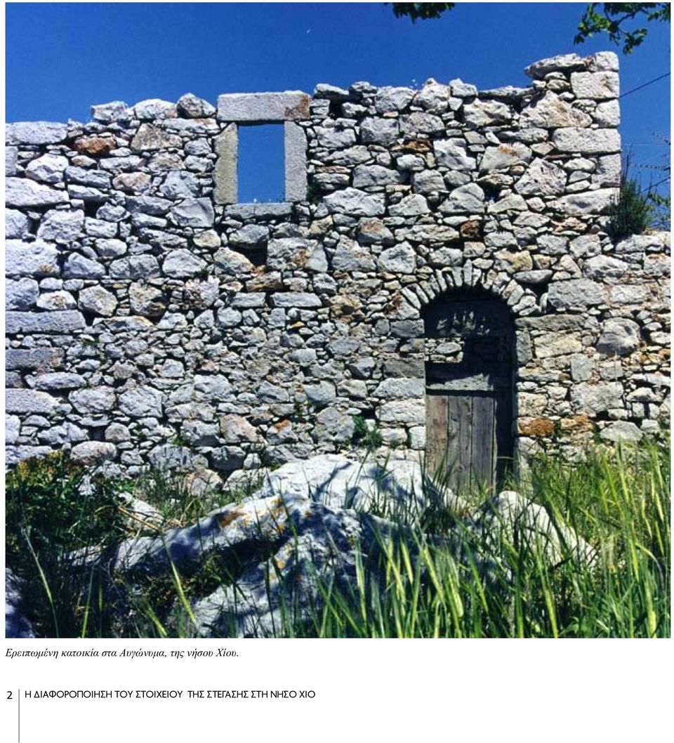 Αυγώνυμα,