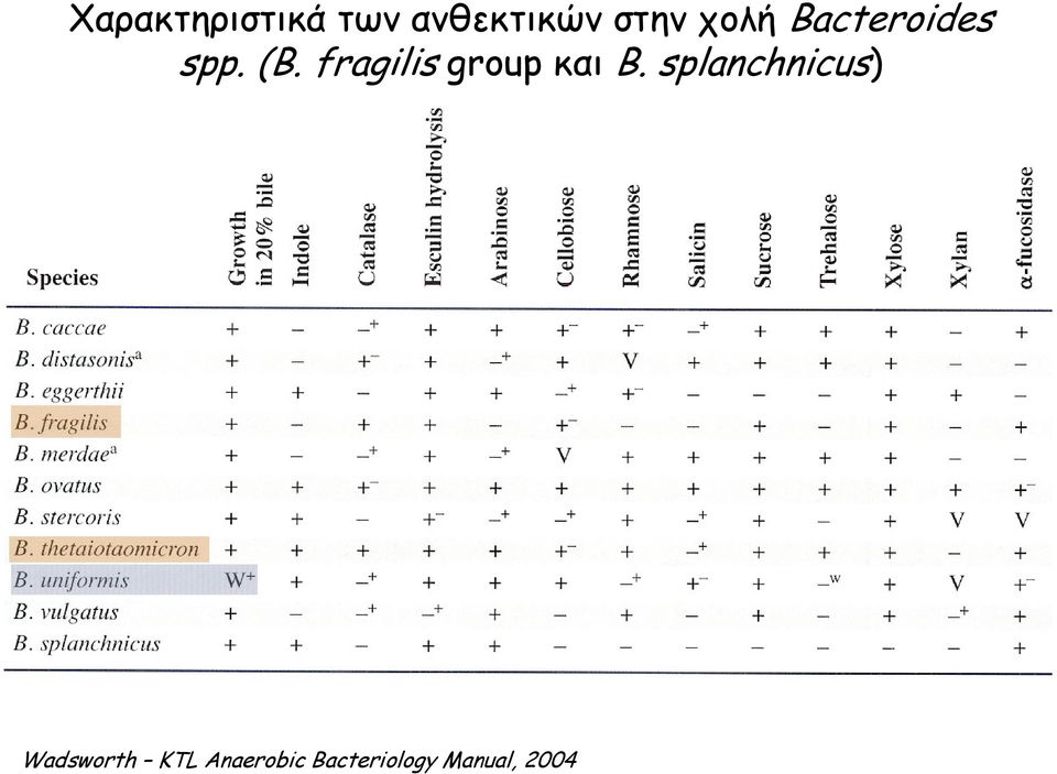 fragilis group και B.