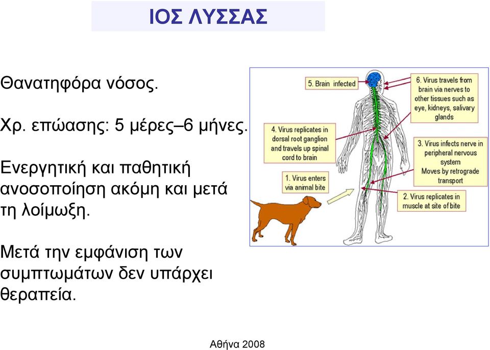 Ενεργητική και παθητική ανοσοποίηση ακόμη