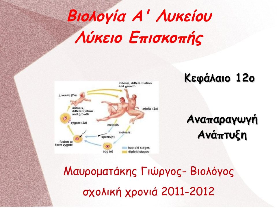 Αναπαραγωγή Ανάπτυξη