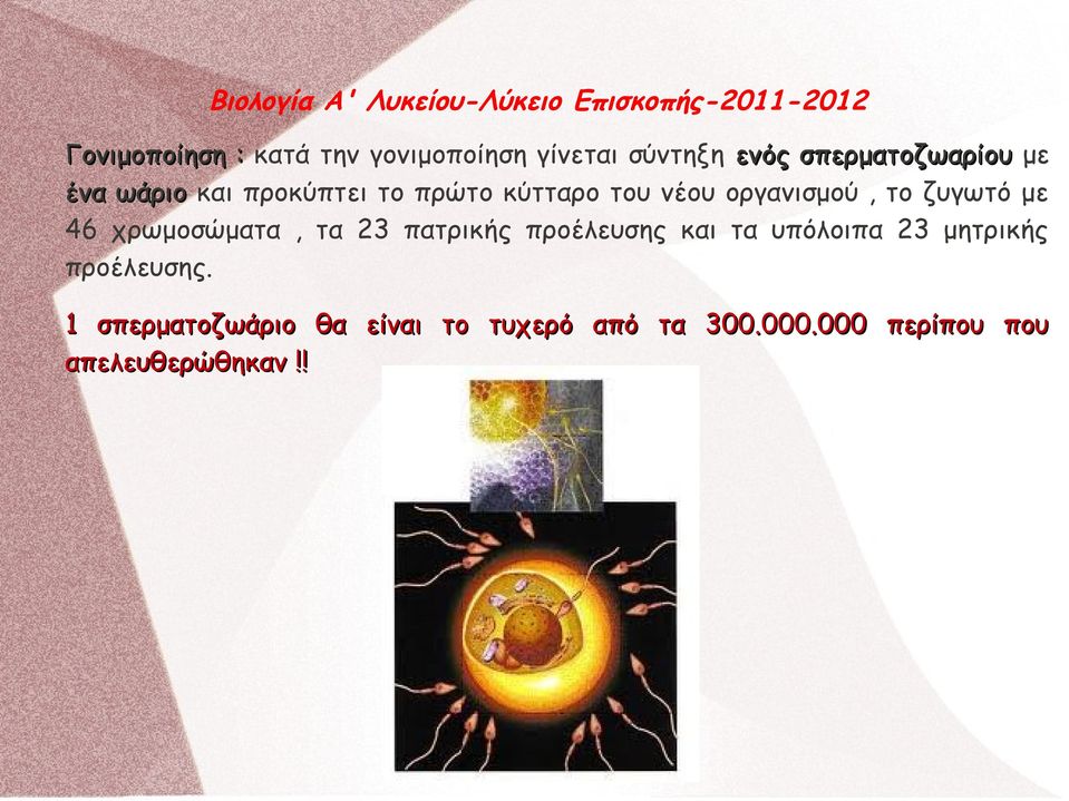 χρωμοσώματα, τα 23 πατρικής προέλευσης και τα υπόλοιπα 23 μητρικής προέλευσης.