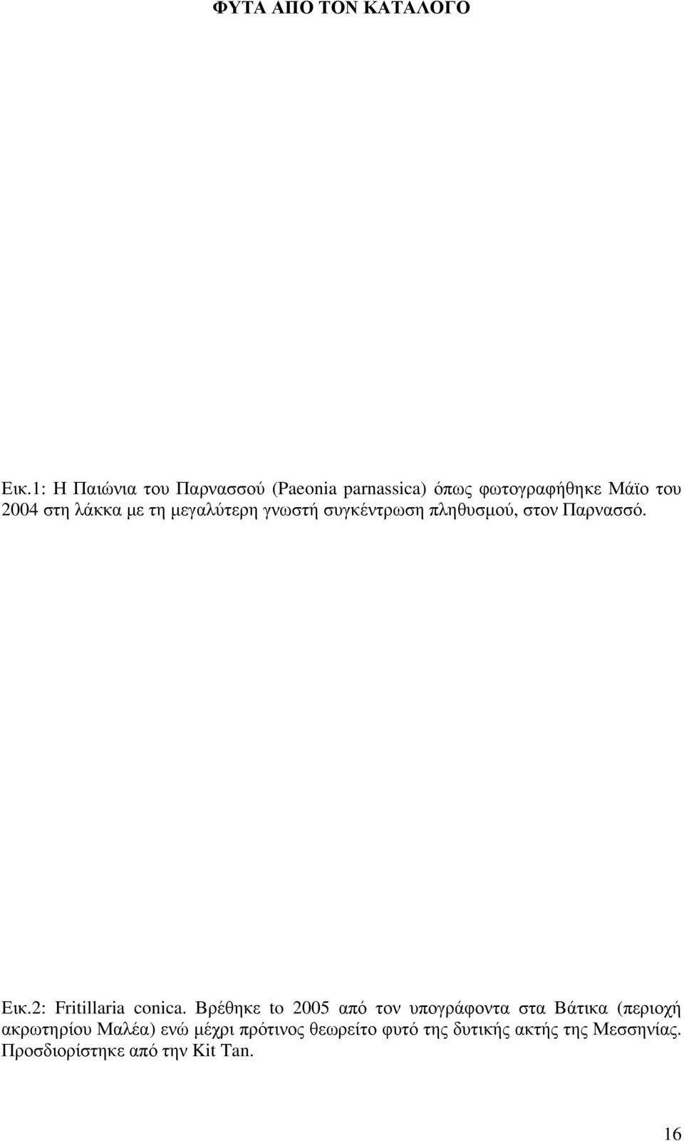 τη μεγαλύτερη γνωστή συγκέντρωση πληθυσμού, στον Παρνασσό. Εικ.2: Fritillaria conica.