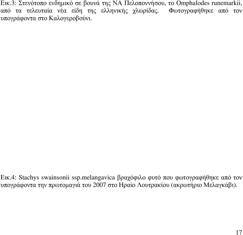 Φωτογραφήθηκε από τον υπογράφοντα στο Καλογεροβούνι. Εικ.4: Stachys swainsonii ssp.