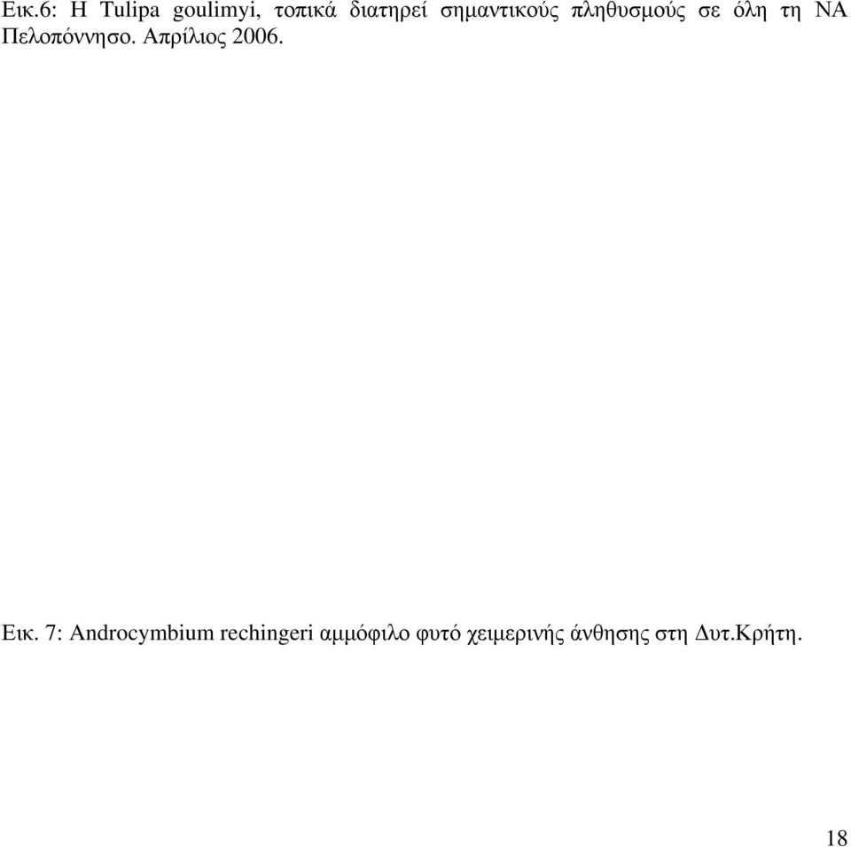 Πελοπόννησο. Απρίλιος 2006. Εικ.
