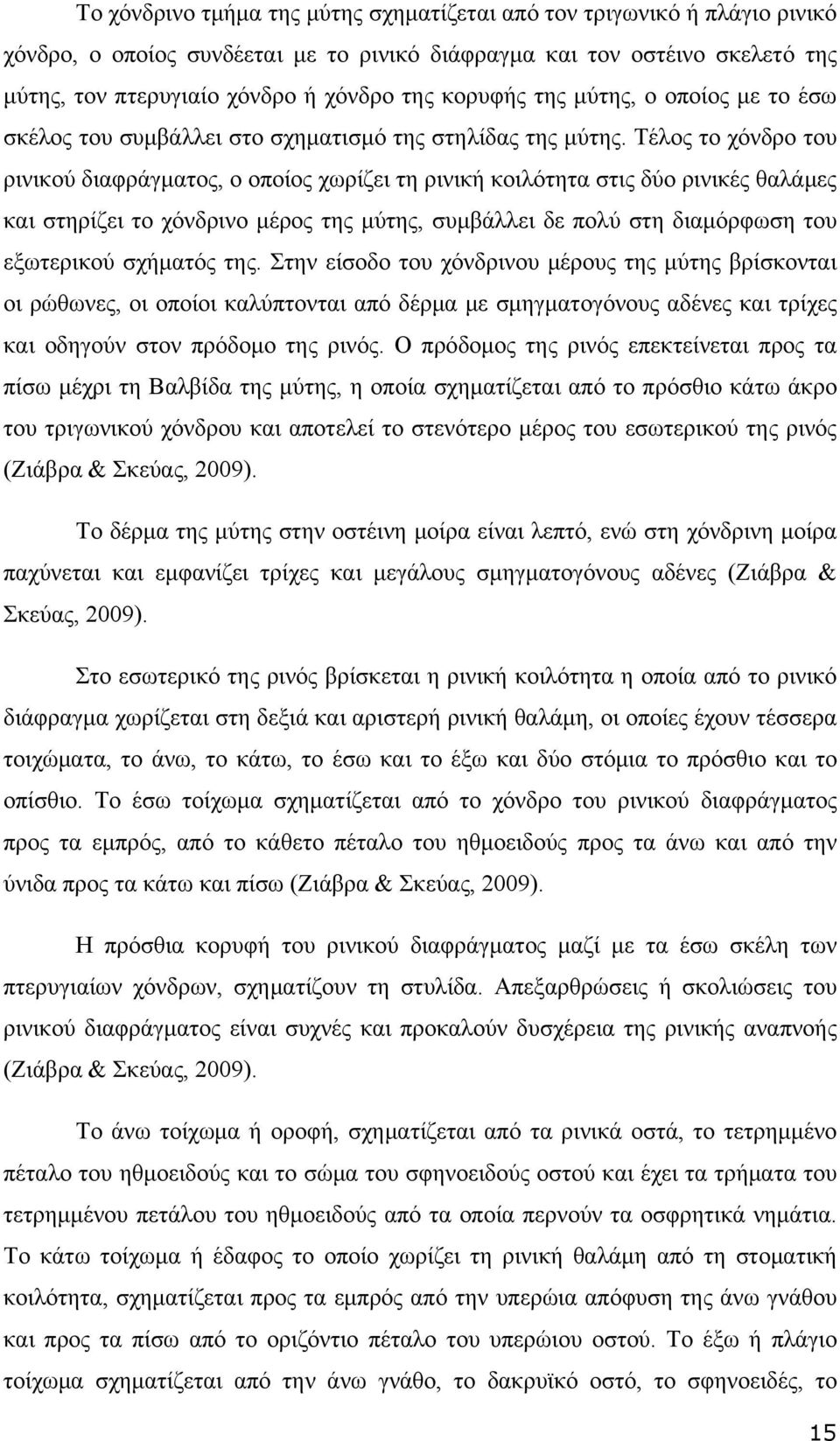 Τέλος το χόνδρο του ρινικού διαφράγματος, ο οποίος χωρίζει τη ρινική κοιλότητα στις δύο ρινικές θαλάμες και στηρίζει το χόνδρινο μέρος της μύτης, συμβάλλει δε πολύ στη διαμόρφωση του εξωτερικού