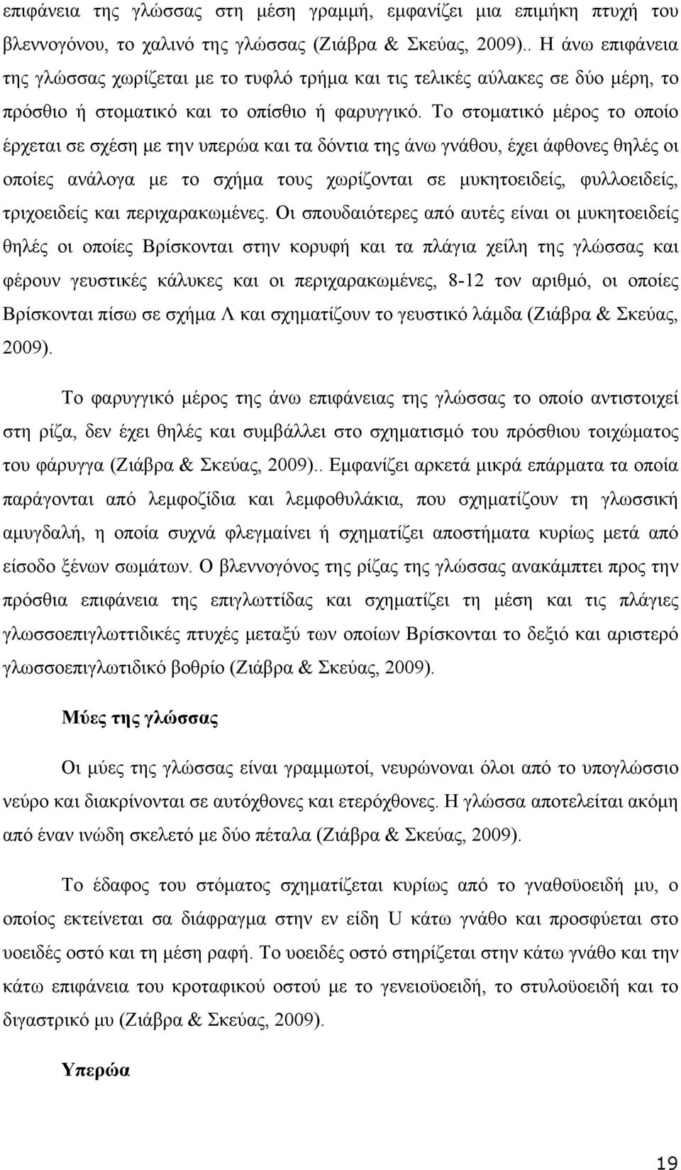 Το στοματικό μέρος το οποίο έρχεται σε σχέση με την υπερώα και τα δόντια της άνω γνάθου, έχει άφθονες θηλές οι οποίες ανάλογα με το σχήμα τους χωρίζονται σε μυκητοειδείς, φυλλοειδείς, τριχοειδείς και