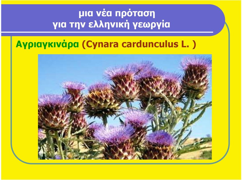 γεωργία