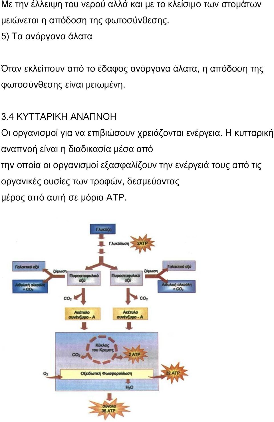 4 ΚΥΤΤΑΡΙΚΗ ΑΝΑΠΝΟΗ Οι οργανισµοί για να επιβιώσουν χρειάζονται ενέργεια.