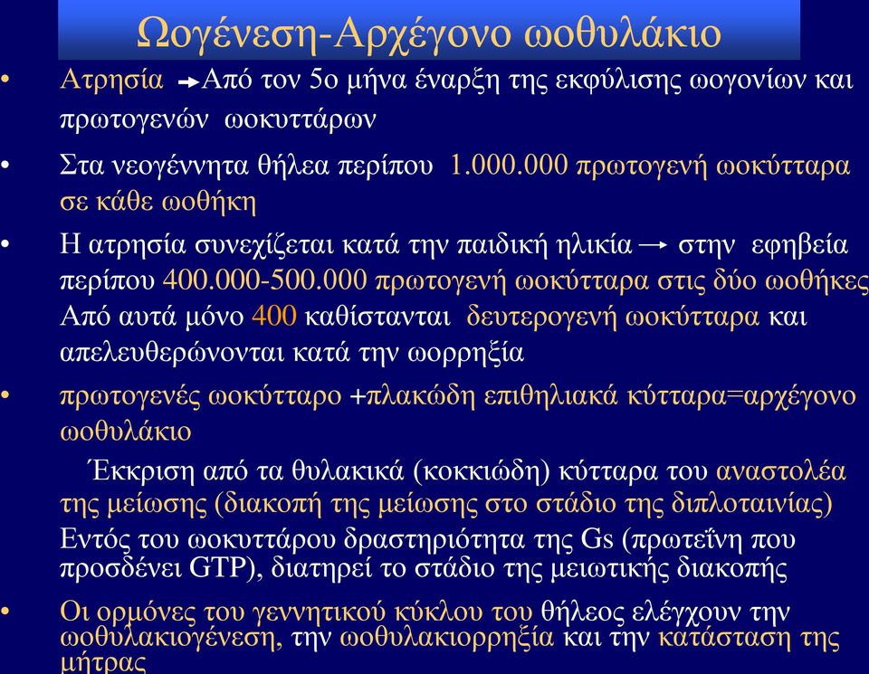 000 πρωτογενή ωοκύτταρα στις δύο ωοθήκες Από αυτά μόνο 400 καθίστανται δευτερογενή ωοκύτταρα και απελευθερώνονται κατά την ωορρηξία πρωτογενές ωοκύτταρο +πλακώδη επιθηλιακά κύτταρα=αρχέγονο ωοθυλάκιο